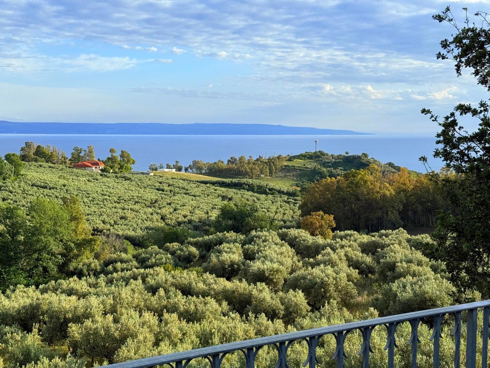 Casale Calabria Bed & Breakfast Gizzeria Eksteriør bilde