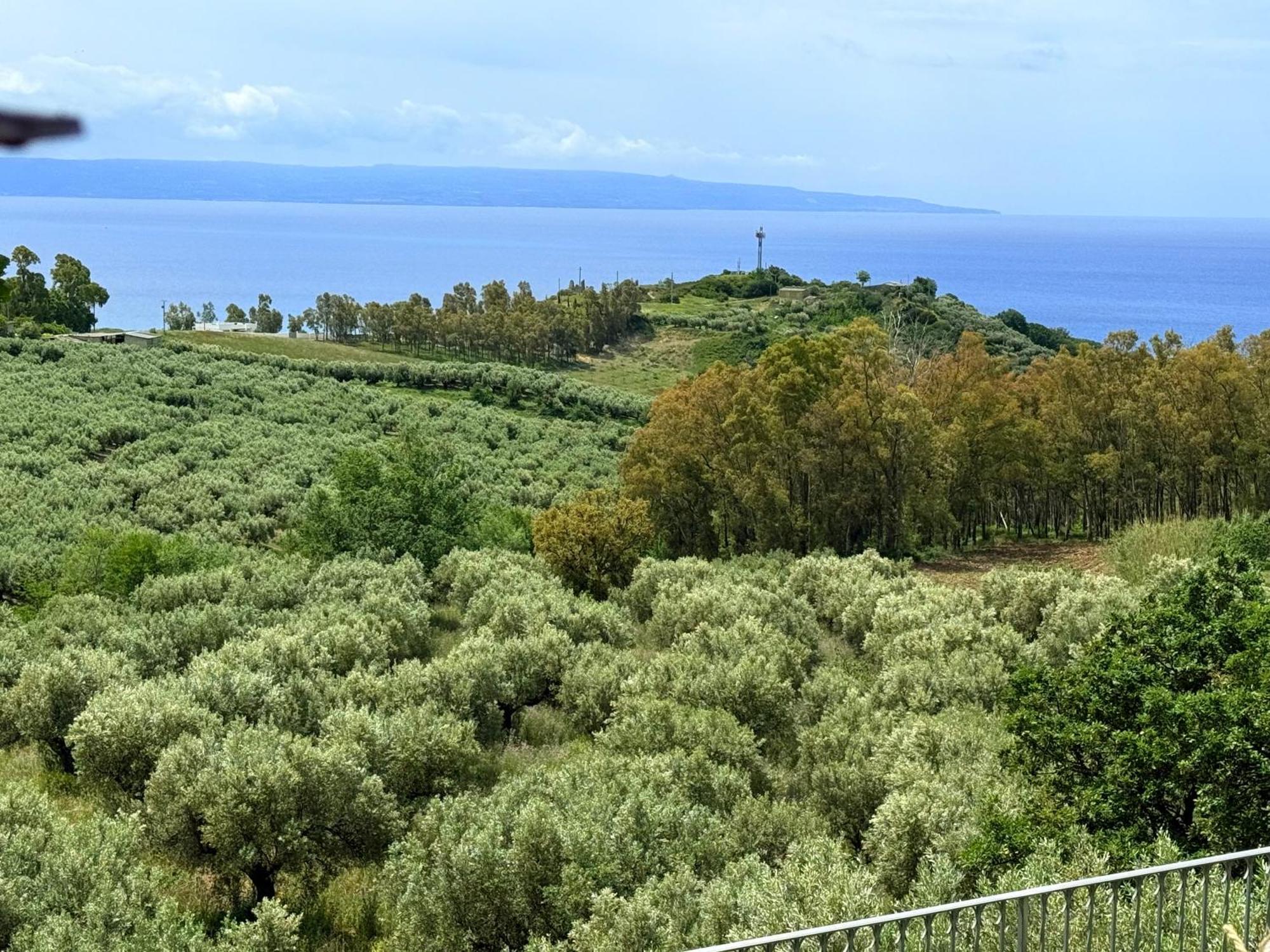 Casale Calabria Bed & Breakfast Gizzeria Eksteriør bilde